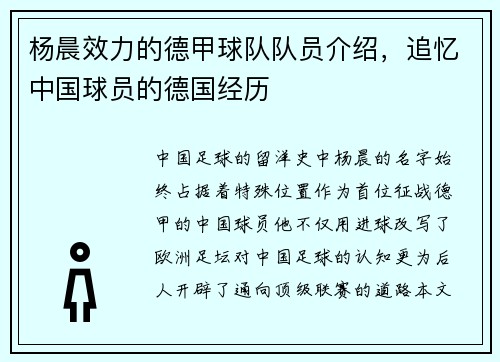 杨晨效力的德甲球队队员介绍，追忆中国球员的德国经历